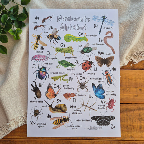 Minibeasts Alphabet - Printable