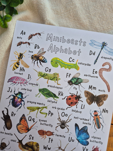 Minibeasts Alphabet - Printable