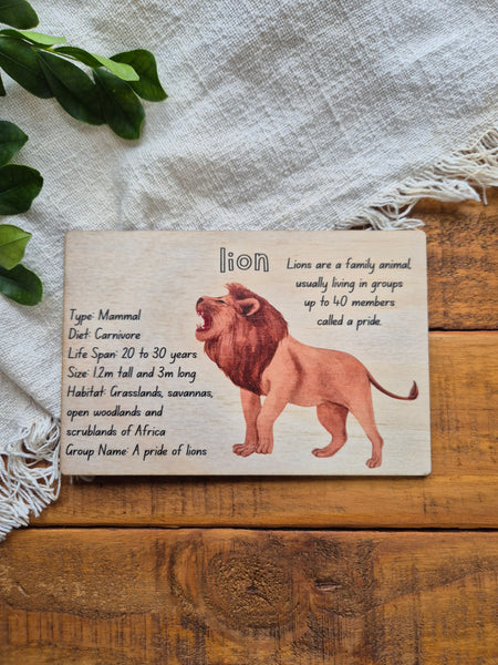 Lion - Info Card