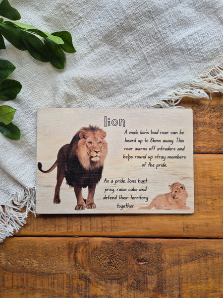 Lion - Info Card