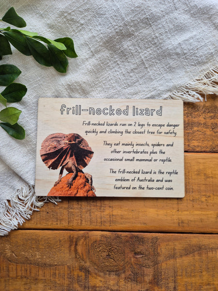 Frill-Necked Lizard - Info Card