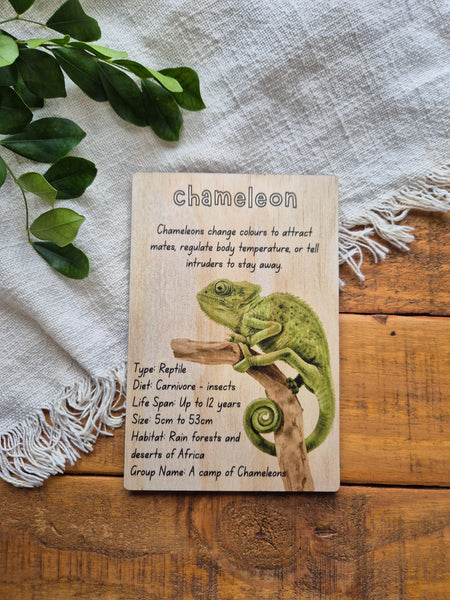 Chameleon - Info Card