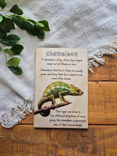 Chameleon - Info Card