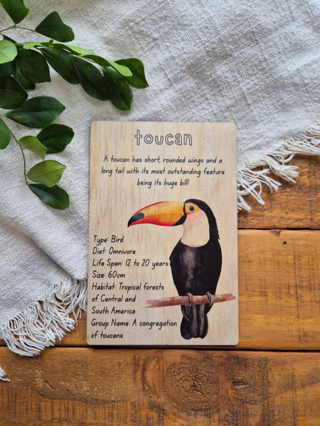 Toucan - Info Card