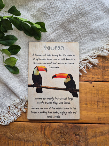 Toucan - Info Card