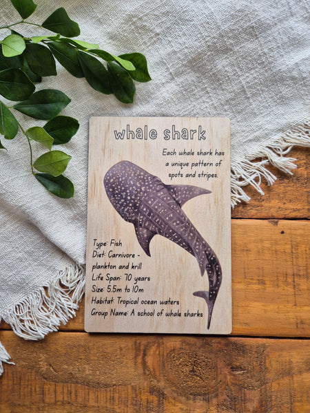 Whale Shark - Info Card