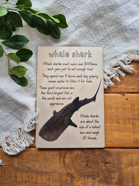 Whale Shark - Info Card
