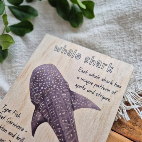 Whale Shark - Info Card
