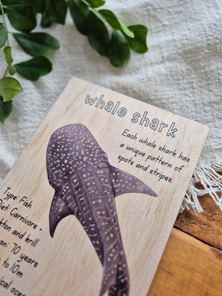 Whale Shark - Info Card