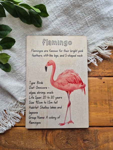 Flamingo - Info Card