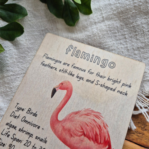 Flamingo - Info Card