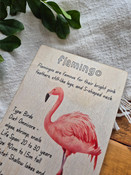 Flamingo - Info Card