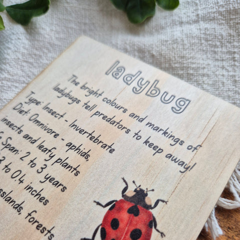 Ladybug - Info Card