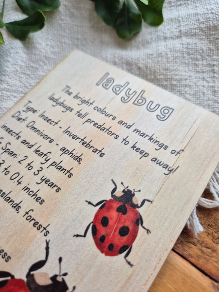 Ladybug - Info Card
