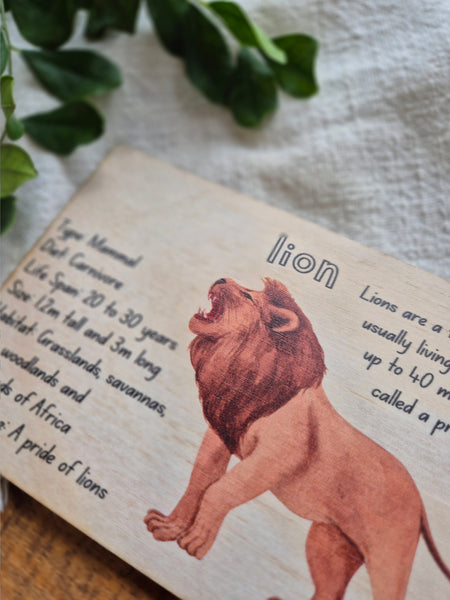 Lion - Info Card