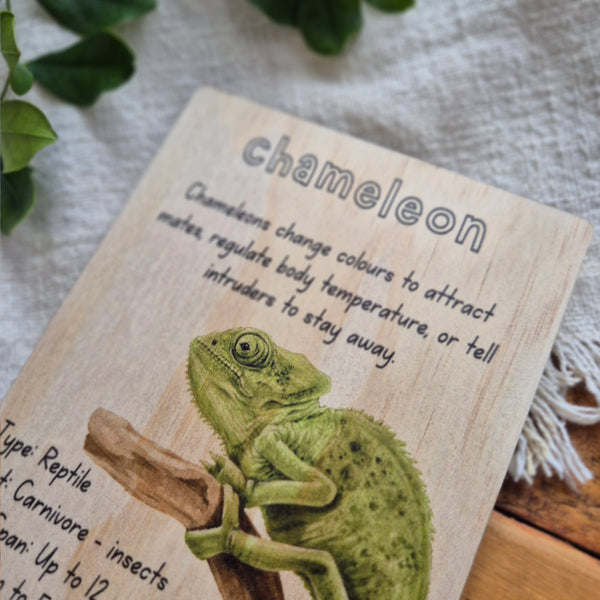 Chameleon - Info Card