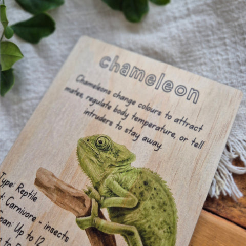 Chameleon - Info Card