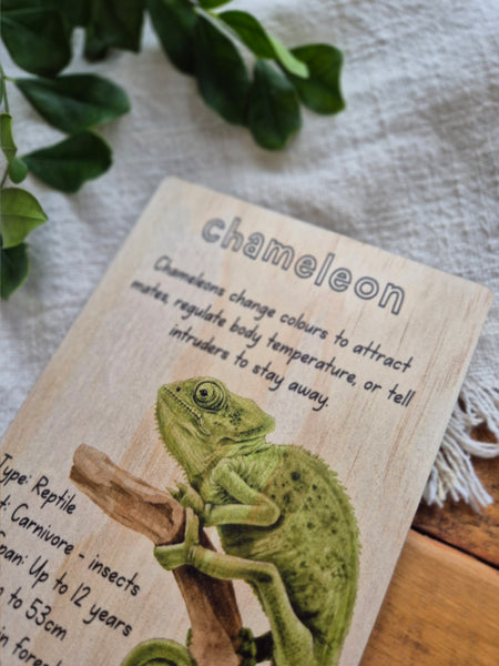 Chameleon - Info Card
