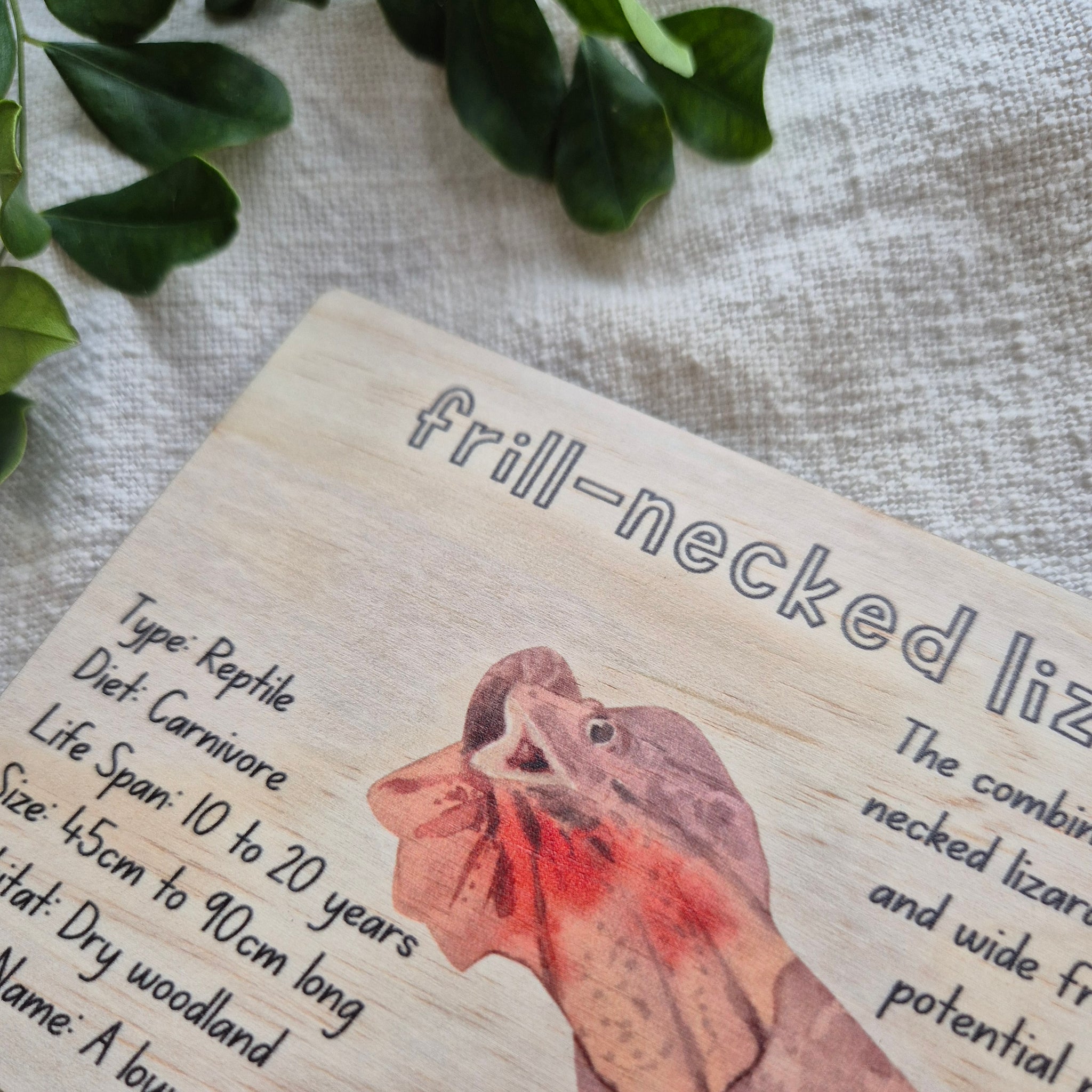 Frill-Necked Lizard - Info Card