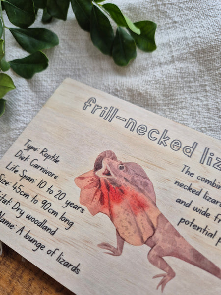 Frill-Necked Lizard - Info Card