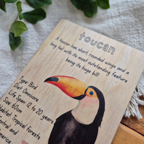 Toucan - Info Card