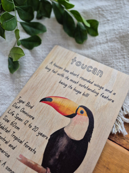 Toucan - Info Card