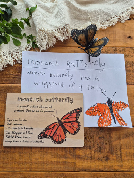 Frill-Necked Lizard - Info Card