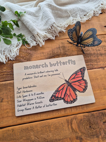 Monarch Butterfly - Info Card