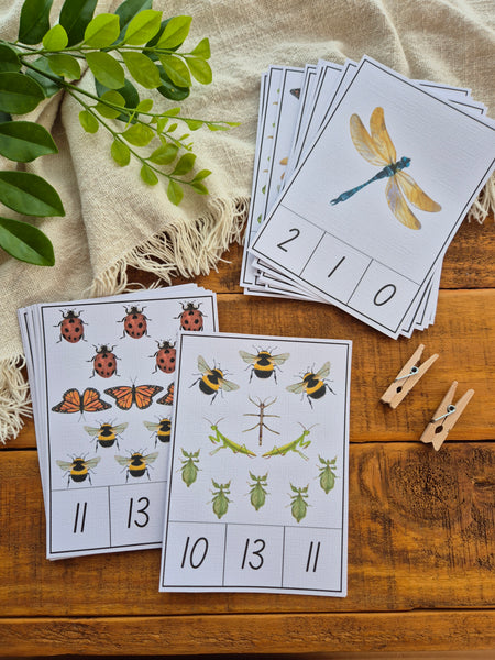 Minibeasts 1-20 Number Match Printable