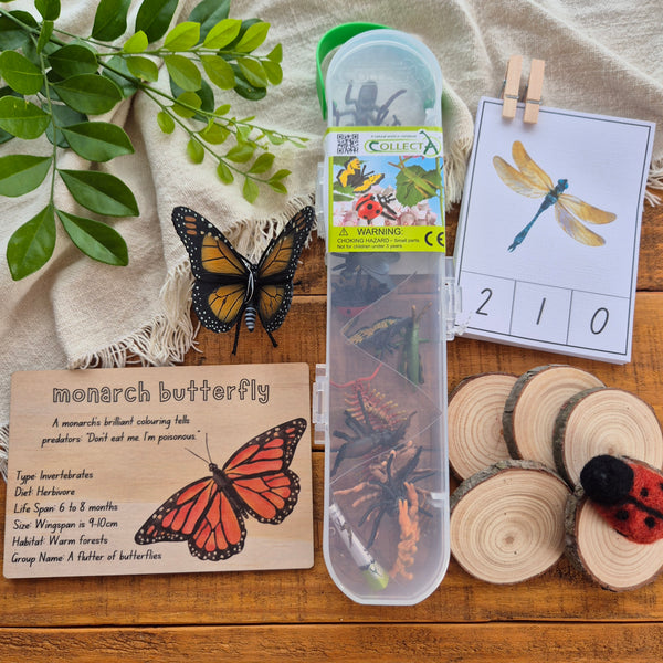 Bug Box - Limited Edition