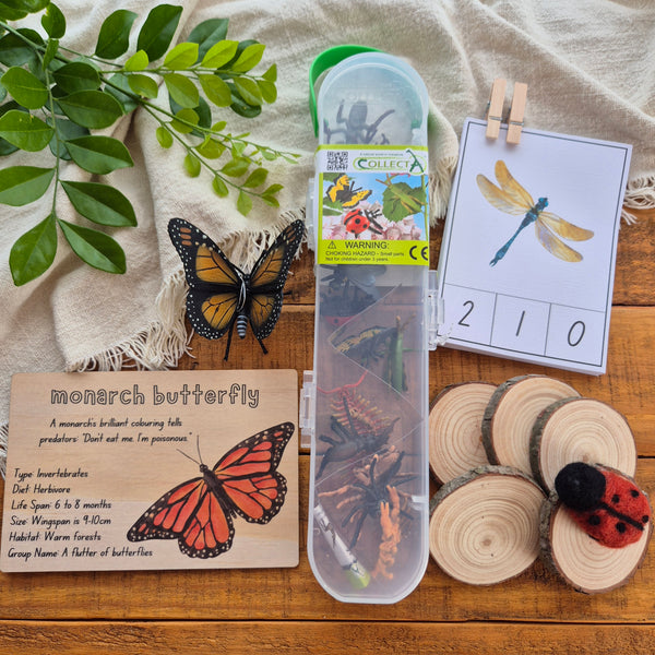 Bug Box - Limited Edition