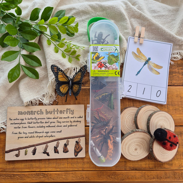 Bug Box - Limited Edition