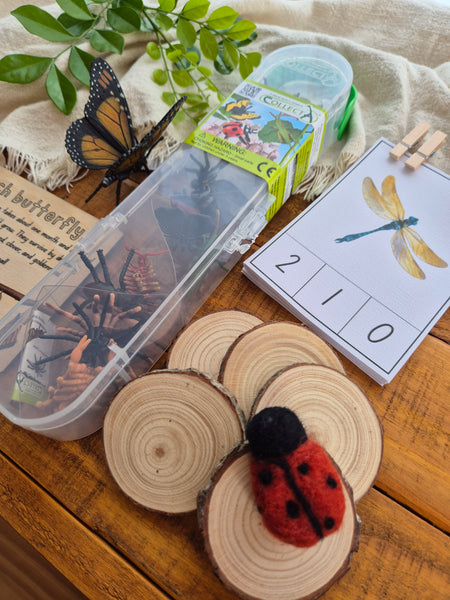Bug Box - Limited Edition