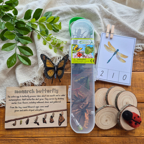 Bug Box - Limited Edition