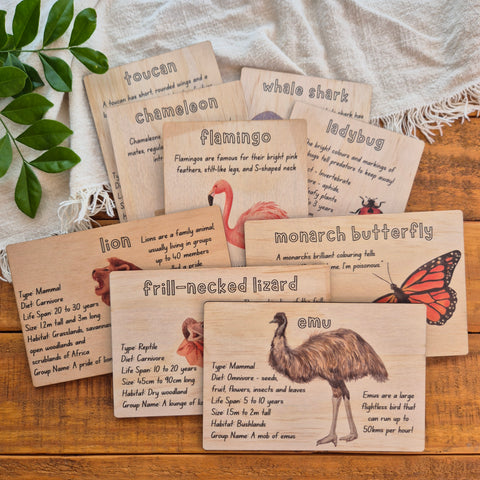 Animal Pack 1 - Info Cards