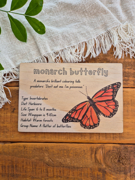 Monarch Butterfly - Info Card