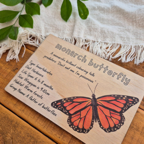 Monarch Butterfly - Info Card