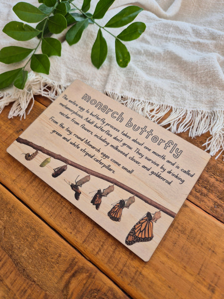 Monarch Butterfly - Info Card