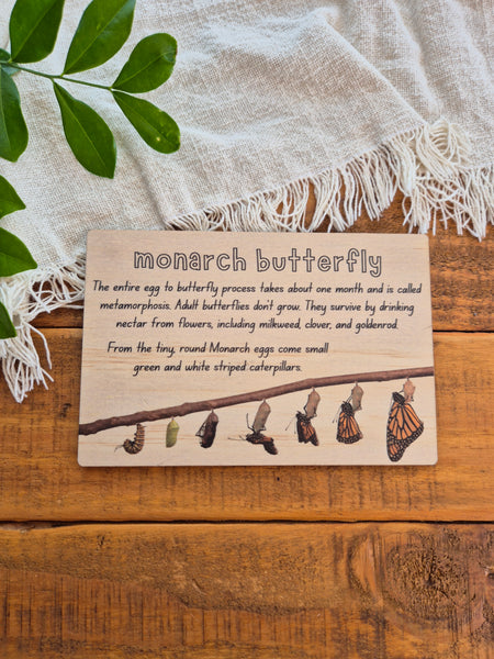 Monarch Butterfly - Info Card