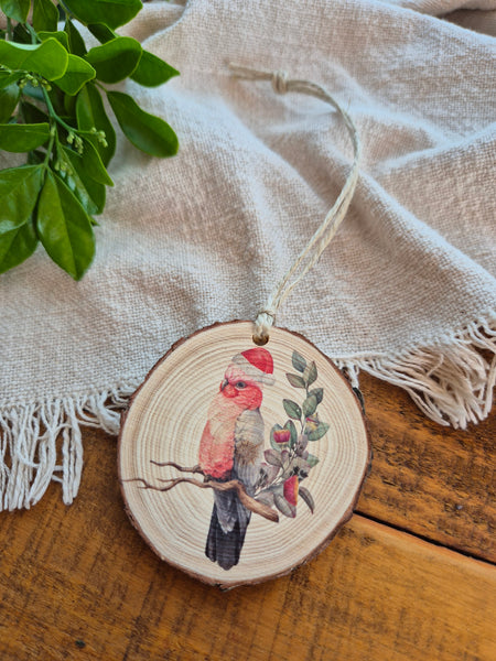 Aussie Bird Ornaments