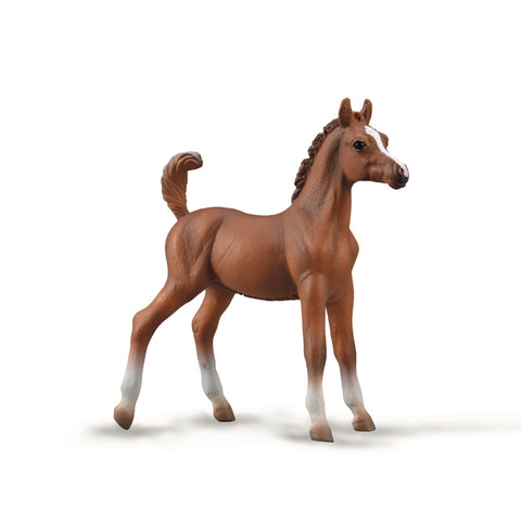 Arabian Foal Chestnut
