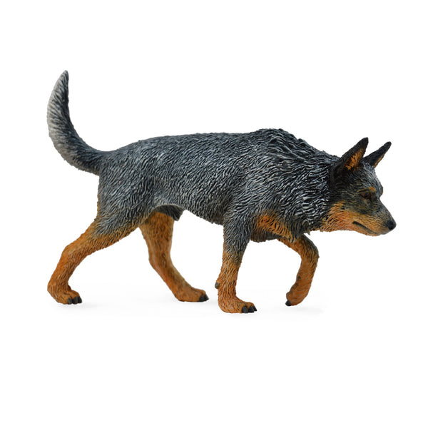 Cattle Dog