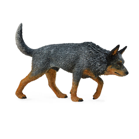 Cattle Dog