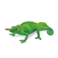 Chameleon
