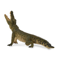 Crocodile