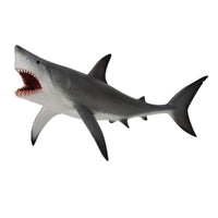 Great White Shark