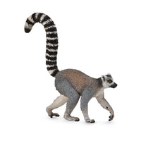 Ring Tailed Lemur