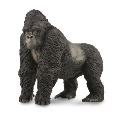 Mountain Gorilla