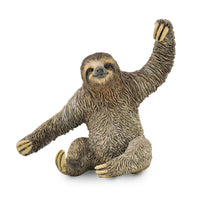 Sloth