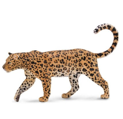 African Leopard